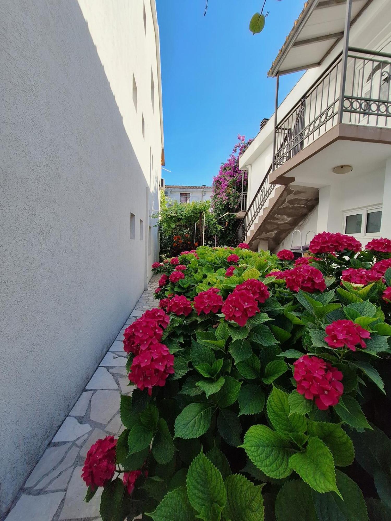 Apartmani Hortenzija Будва Экстерьер фото