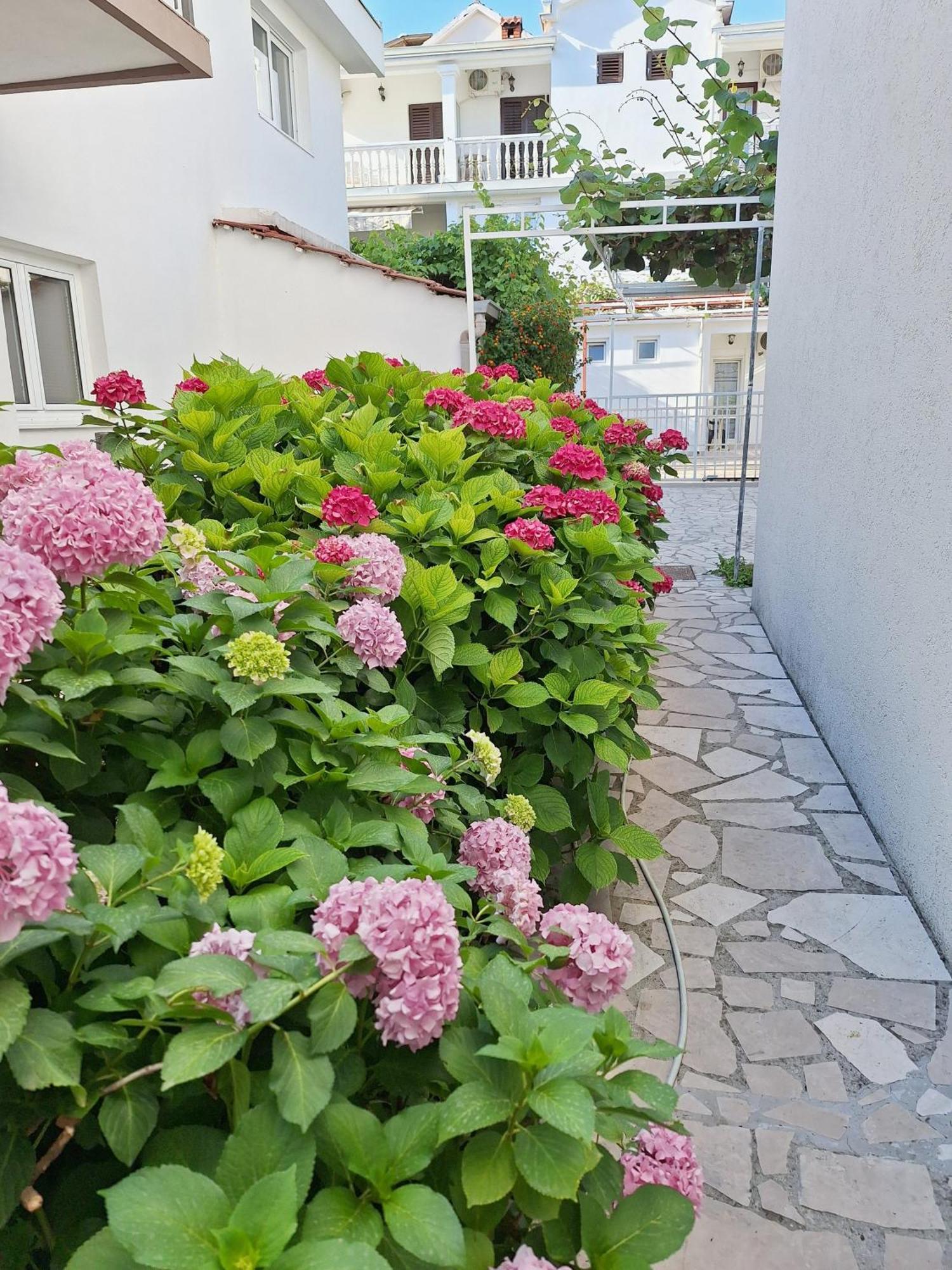 Apartmani Hortenzija Будва Экстерьер фото