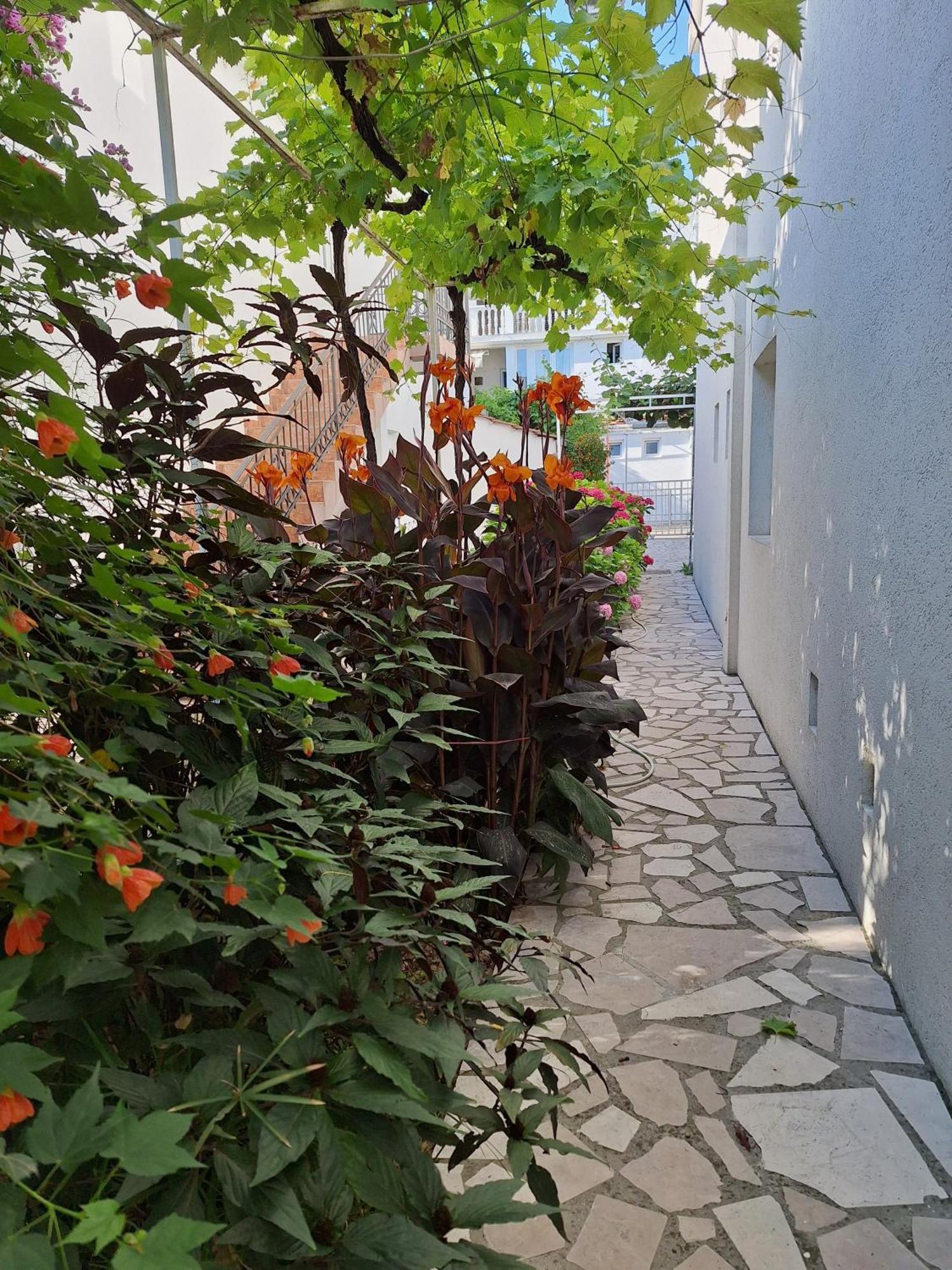 Apartmani Hortenzija Будва Экстерьер фото