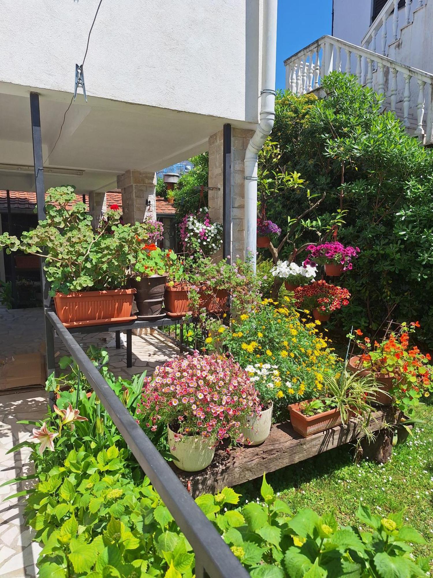 Apartmani Hortenzija Будва Экстерьер фото